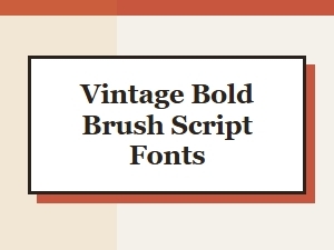 Vintage Bold Brush Script Fonts for Retro Design Projects