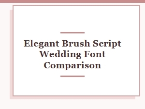 Top Elegant Brush Script Wedding Fonts Compared for Your Big Day